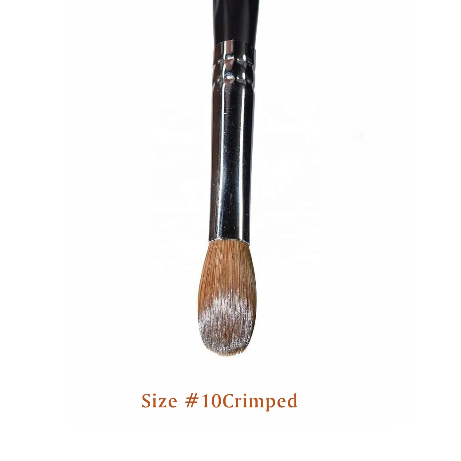100% Kolinsky Acrylic Nail Brush Size 10, Oval Crimped Pressed Shaped Sturdy Wooden Handle Acrylic Powder Nail Art Brush Professional Manicure Pedicure for DIY Home Salon