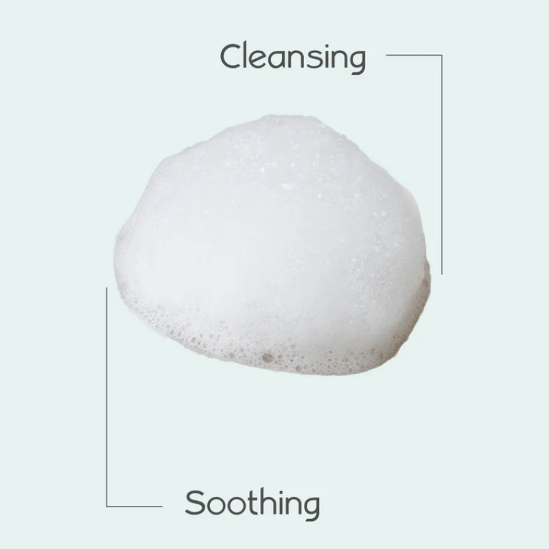 2 in 1 Shampoo   Body Wash