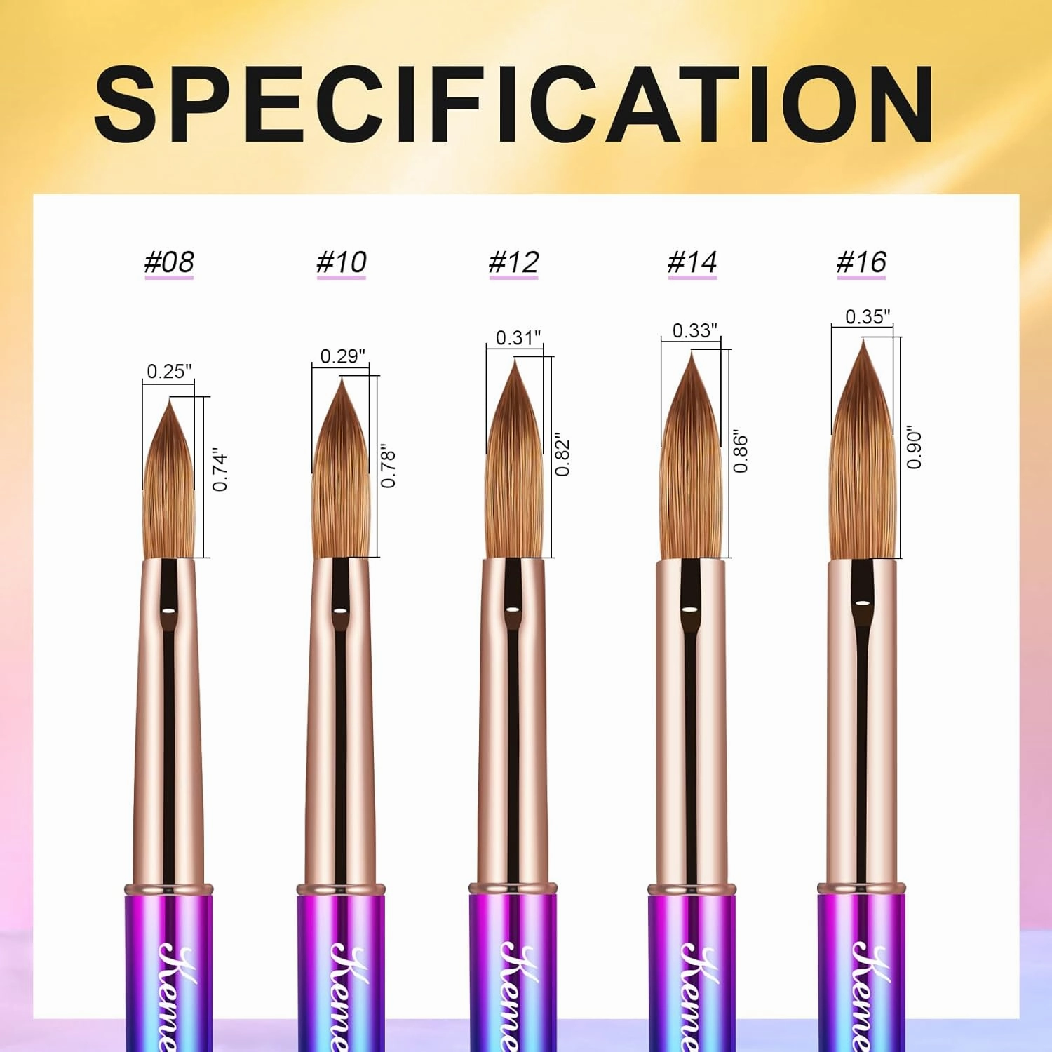 2PCS Nail Brush - Liner & Kolinsky Art Brush Size #12 for Acrylic Application, Sturdy Handle Oval Shaped Design Tools for Professional Manicure DIY