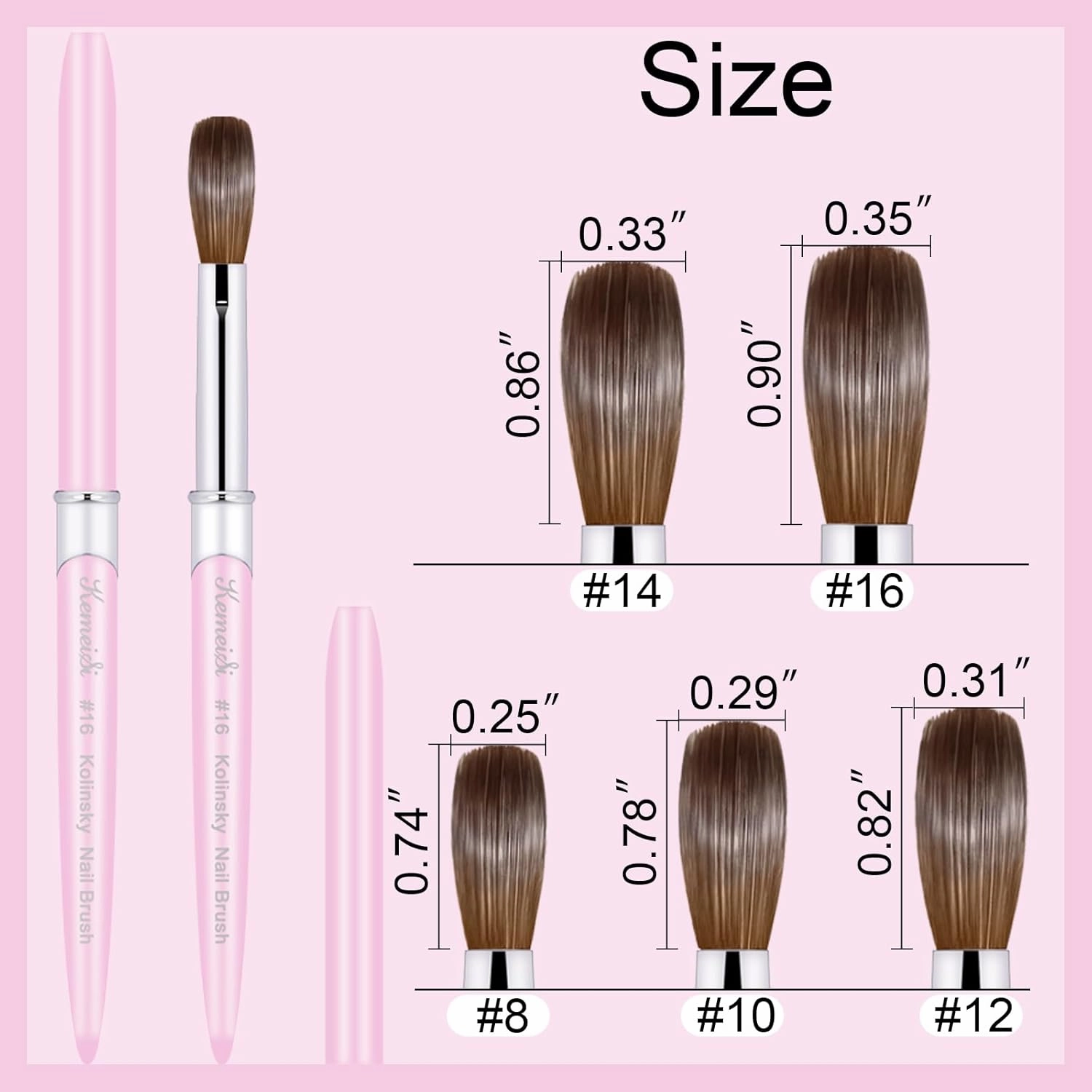 Acrylic Nail Brush Size #12, Kolinsky Art Brushes for Powder Application, Sturdy Handle Oval Shaped Design Tools for Professional Manicure DIY