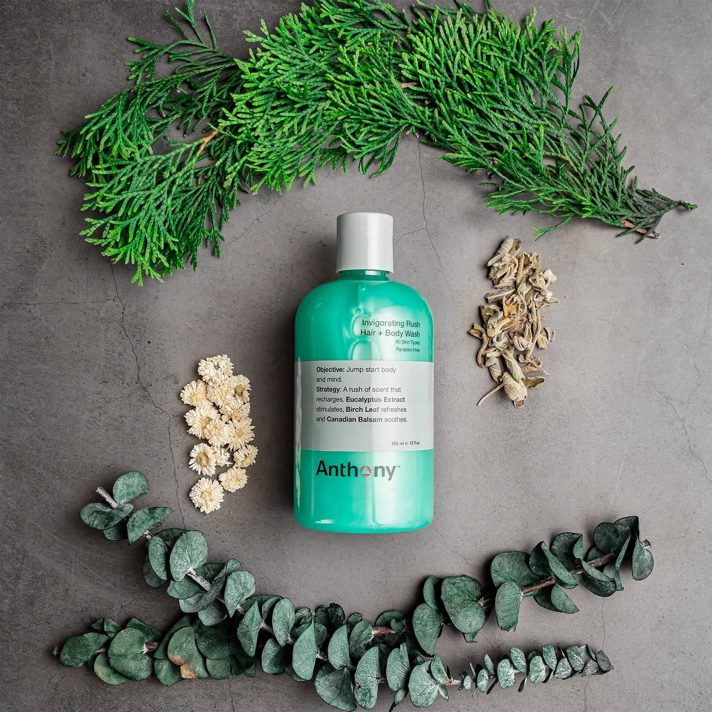 Anthony Mens Body Wash and Shampoo: Invigorating Rush 2-In-1 Liquid Gel Soap & Hair Shampoo, Pine Wood Scent, Hydrating with Eucalyptus, Canadian Balsam, Birch Leaf, Charcoal, Sea Kelp, 12 Fl. Oz