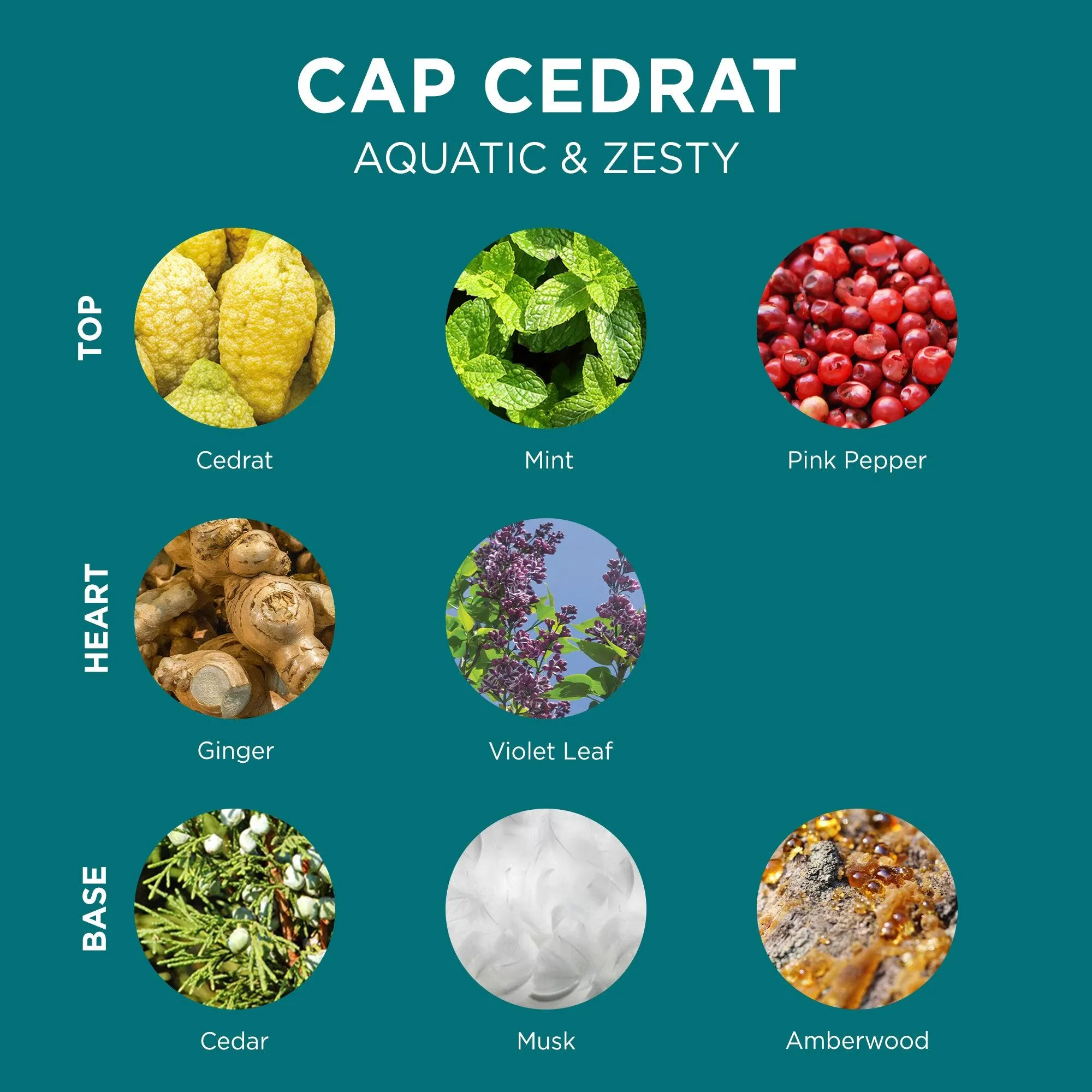 Cap Cedrat Hair & Body Wash 250ml