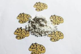 Chocolate Chip Cookie Body Powder, Talc Free Powder