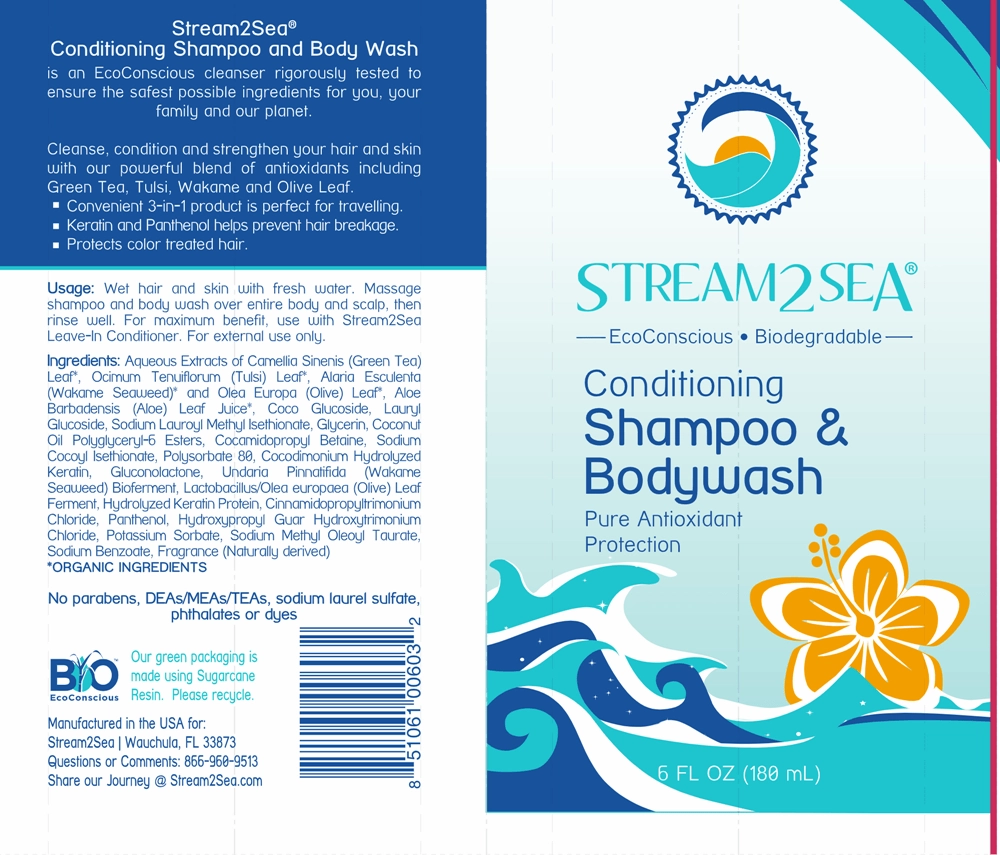 Conditioning Shampoo & Bodywash
