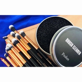 Deluxe 12 Piece Brush Set | Makeup Brush Set Prolux From Prolux Cosmetics