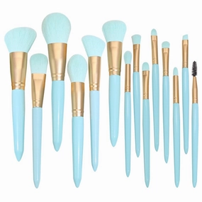 HBJWOV Makeup brush set 14 pieces of light full set powder eye shadow brush multi-function beauty tools