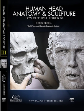 Human Head Anatomy & Sculpture