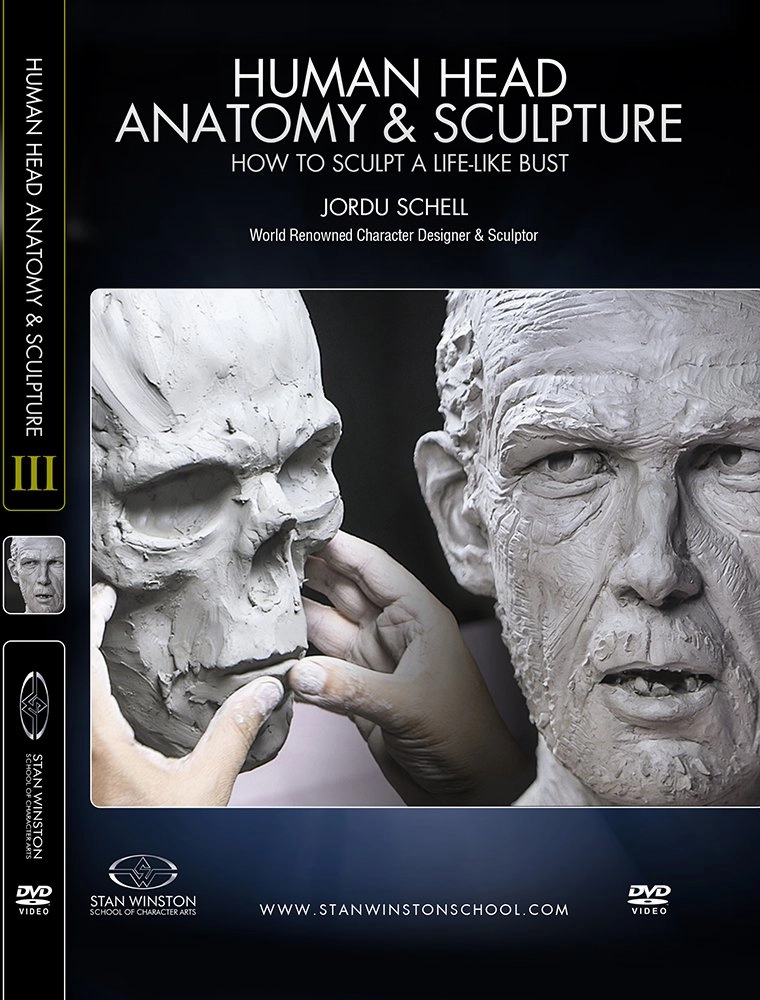 Human Head Anatomy & Sculpture