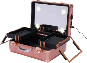 Makeup Train Case, Makeup Case with LED Lights and Mirror, Portable Cosmetic Organizer Box with Customized Dividers and Locks, Large Capacity Makeup Artist Organizer Kit, Rose Gold