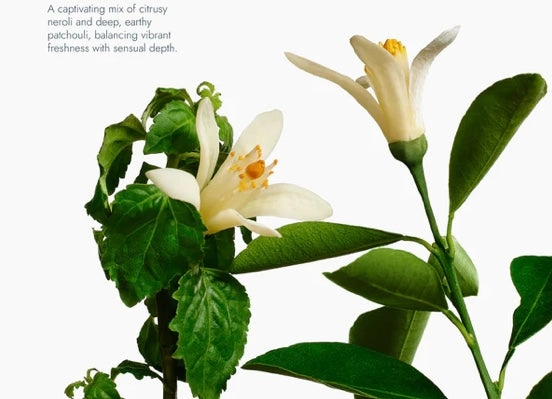 Neroli & Patchouli Exfoliating Bodywash