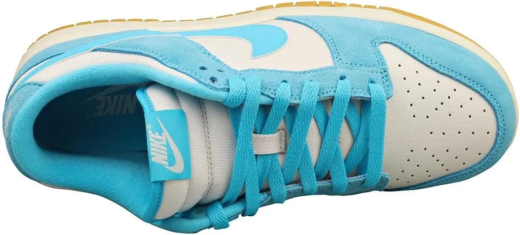 Nike Dunk Low Retro Men's Shoes