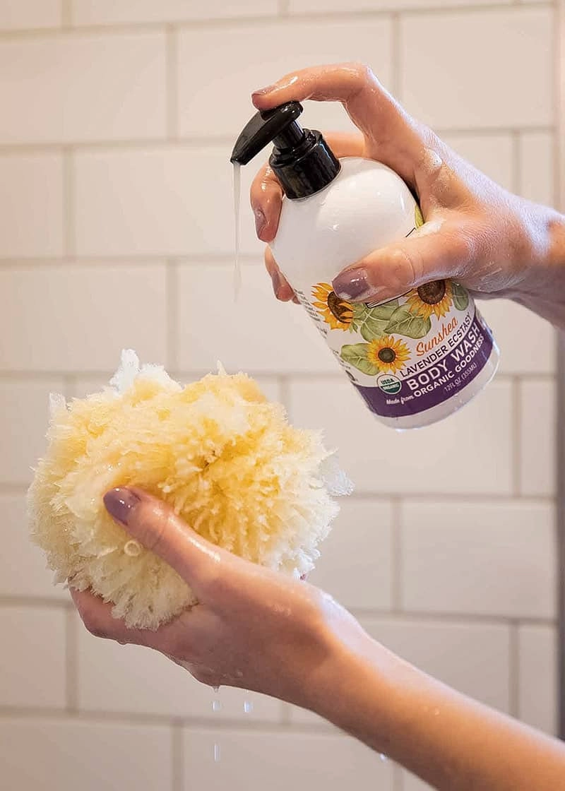 Organic Shea Butter Body Wash - 12oz Pump