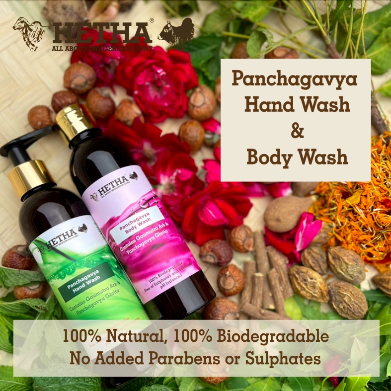 Panchagavya Body Wash