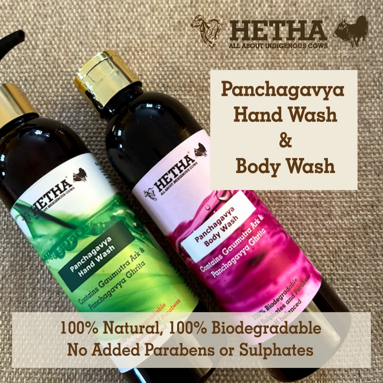 Panchagavya Body Wash