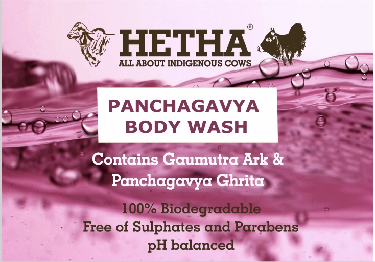 Panchagavya Body Wash