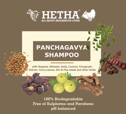 Panchagavya Shampoo