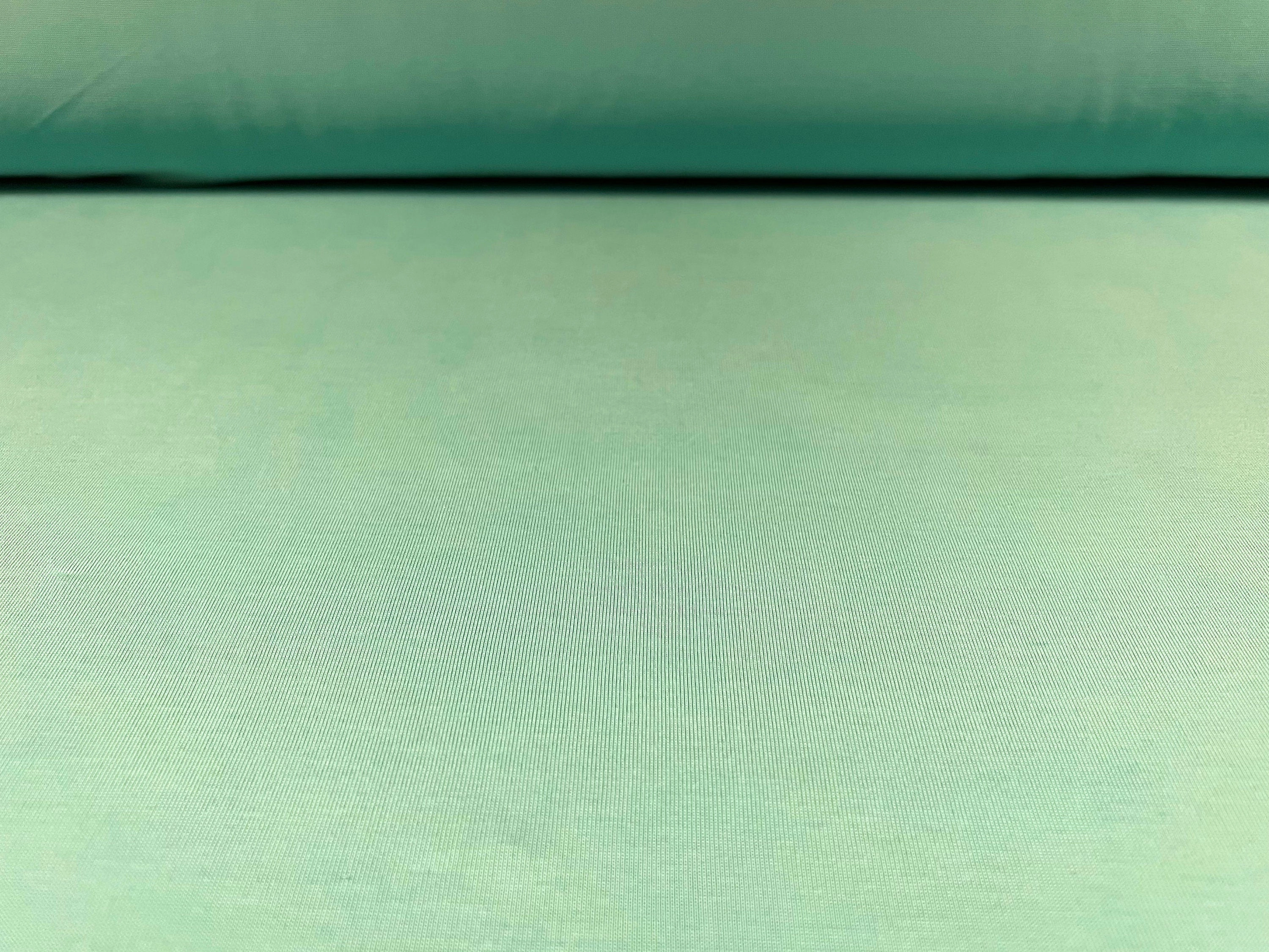 Powder touch single jersey dress fabric with comfort stretch, per metre - plain - aqua green