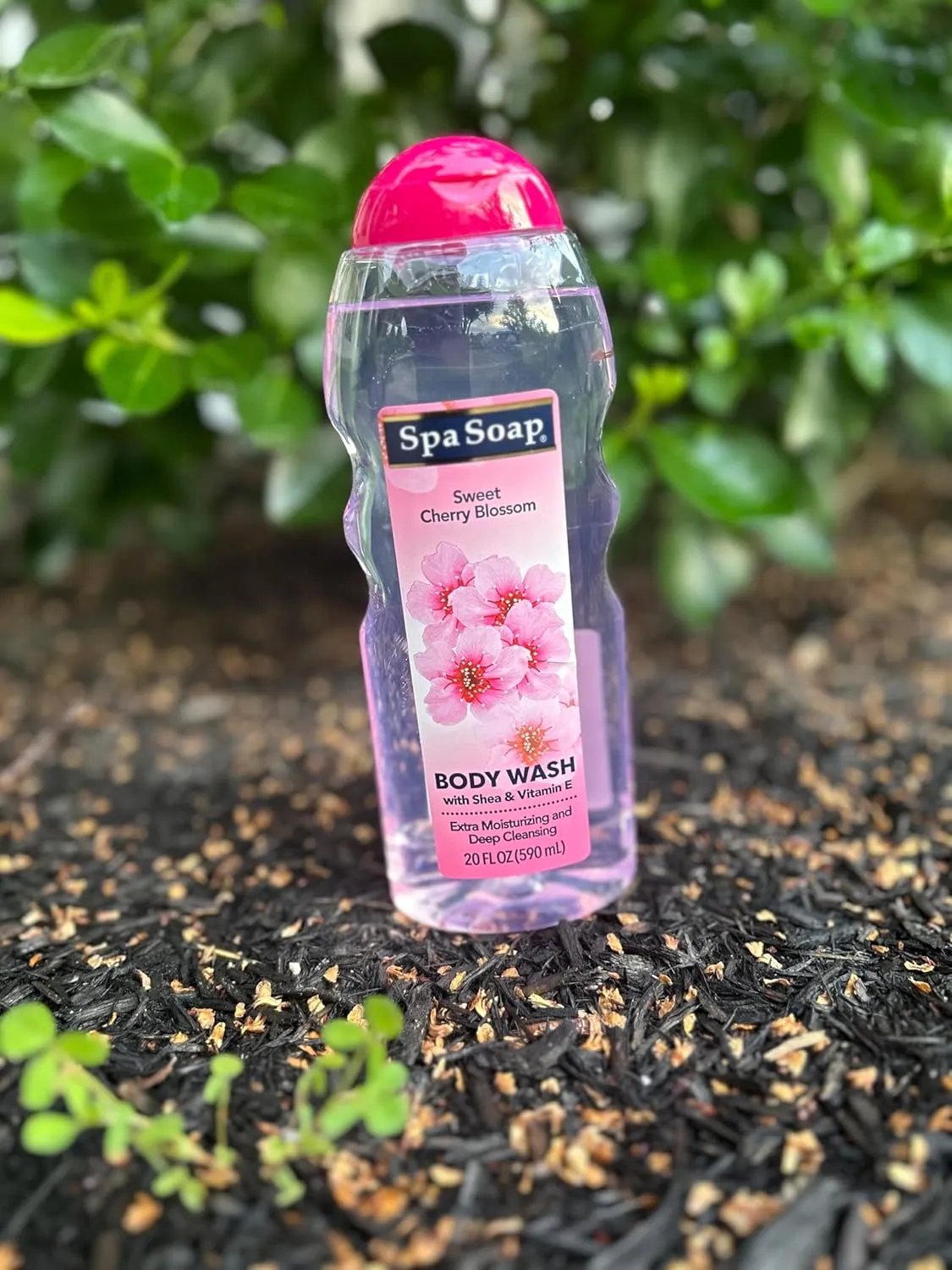 Spa Soap BodyWash with Shea & Vitamin E Nourishing Refreshing (Cherry Blossom)