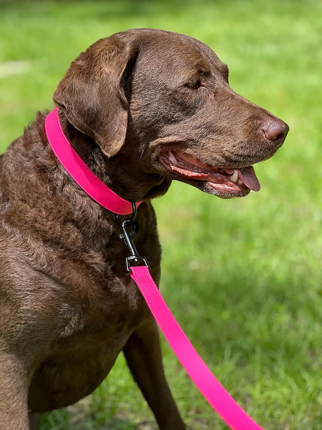 Waterproof Dog Leash/Lead - Stink-Proof Water-Proof Strong Biothane - 6 Ft - Hand Made in USA! (6', Red)